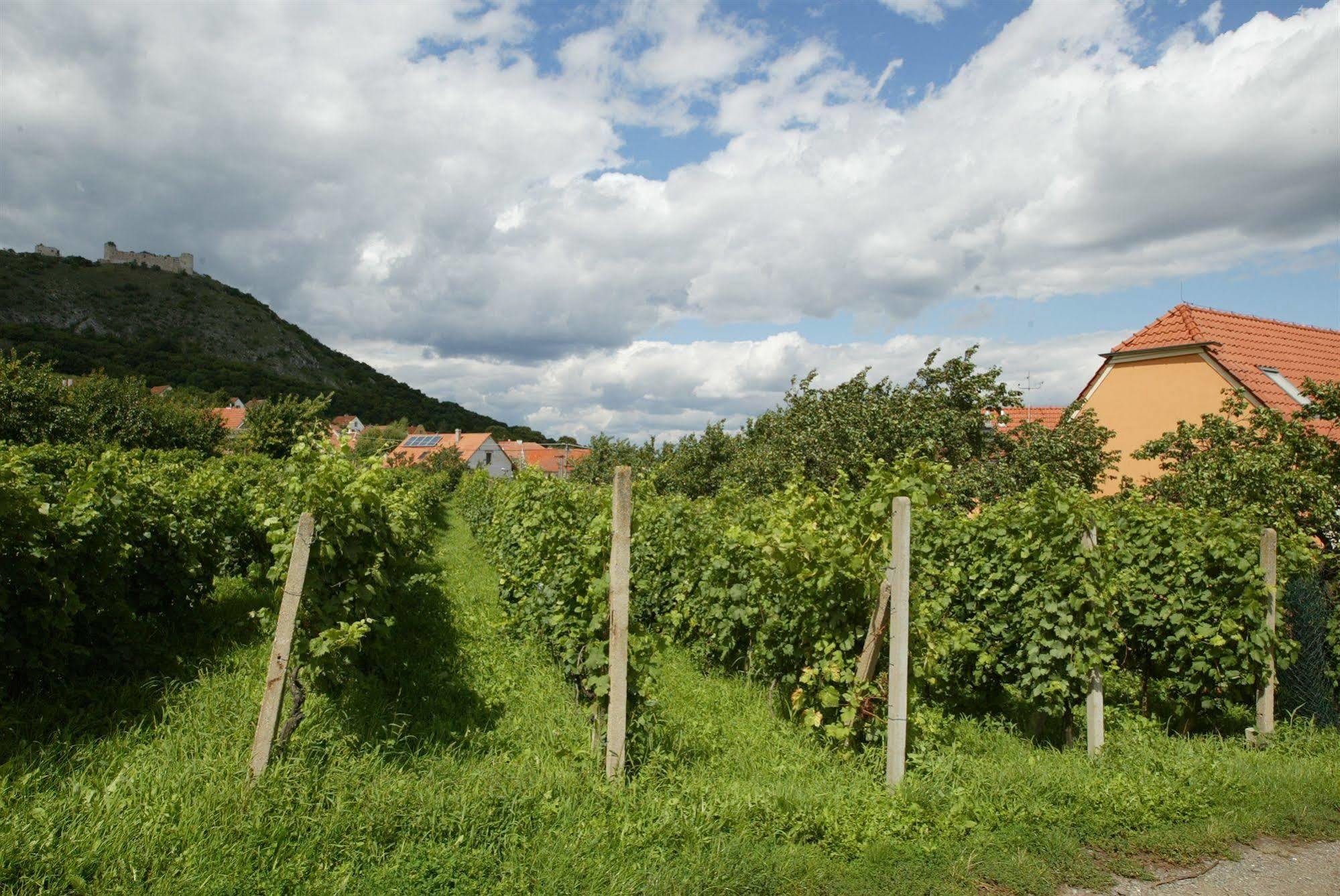 Hotel Pavlov Kültér fotó